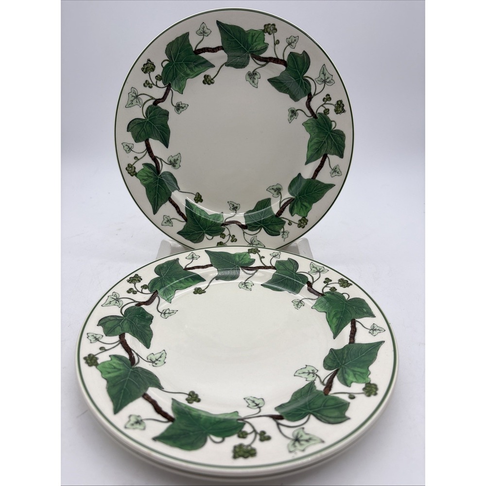 Set Of 3 Napoleon Ivy Wedgwood Salad Plate 8 1/4" Diameter 1 1/4" Rim
